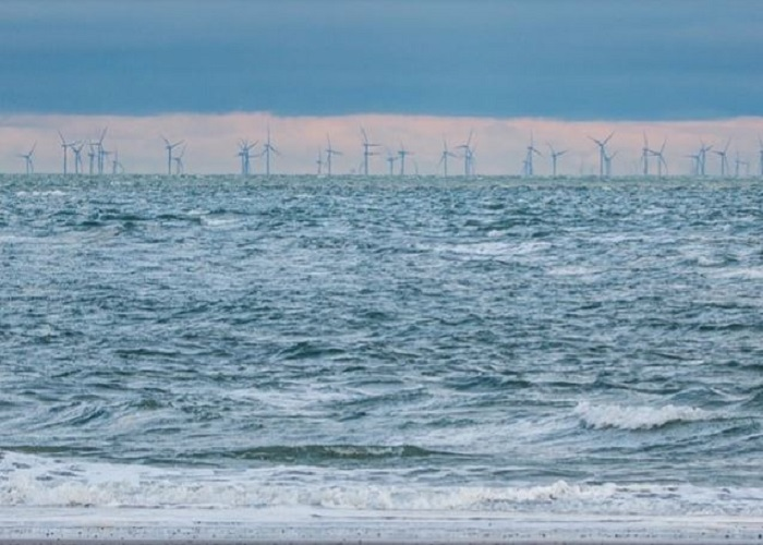 La mega-centrale eolica che mette a rischio l’ambiente del Mar di Sardegna e la sua fauna